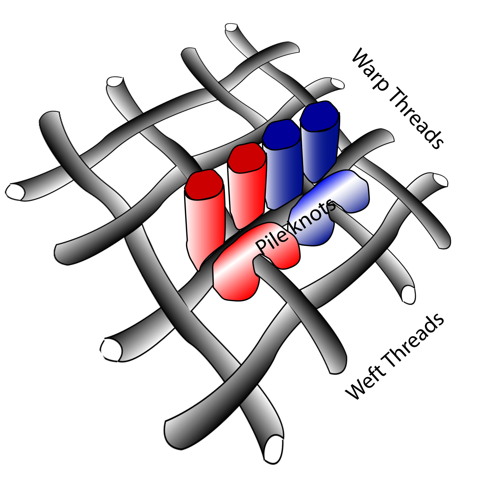 Illustration of warp and weft in fabric.